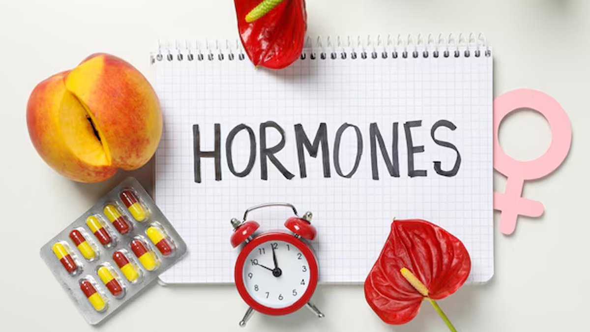 World Menopause Day 2024 A Guide To Age, Stages, Signs, And Side