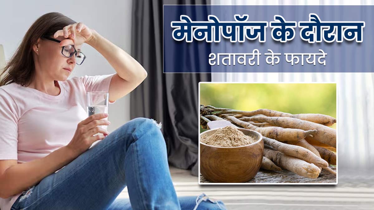 World Menopause Day: मेनोपॉज के दौरान शतावरी खाने से सेहत को मिलेंगे ये फायदे, इस तरह करें सेवन