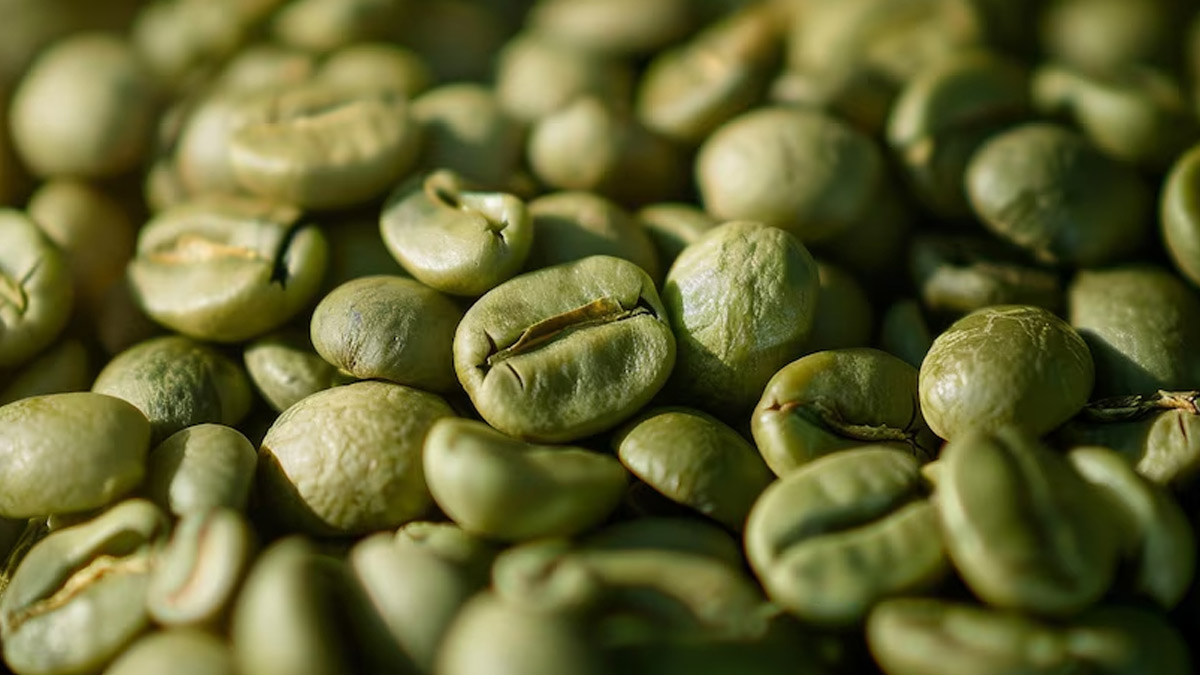 Green coffee