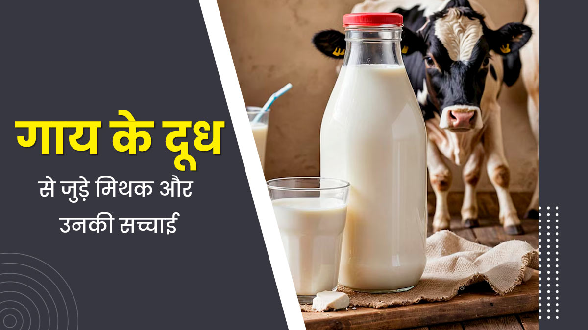 गाय के दूध से जुड़े इन 3 मिथकों पर अक्सर लोग कर लेते हैं भरोसा, जानें क्या है इनकी सच्चाई 