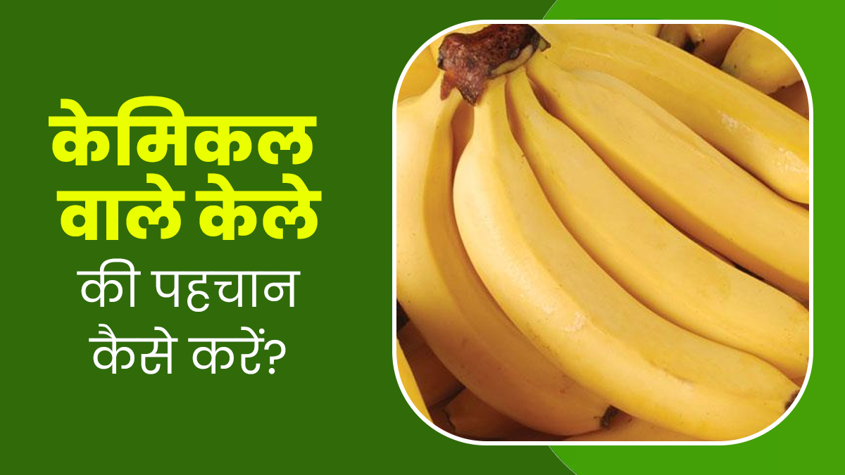 कार्बाइड केमिकल से पकाया केला तो नहीं खा रहे आप? इन 5 तरीकों से करें पहचान