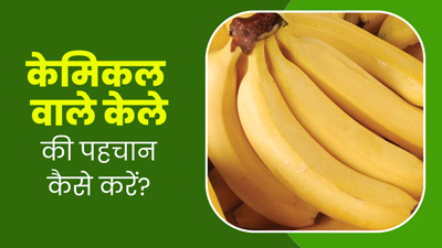 कार्बाइड केमिकल से पकाया केला तो नहीं खा रहे आप? इन 5 तरीकों से करें पहचान