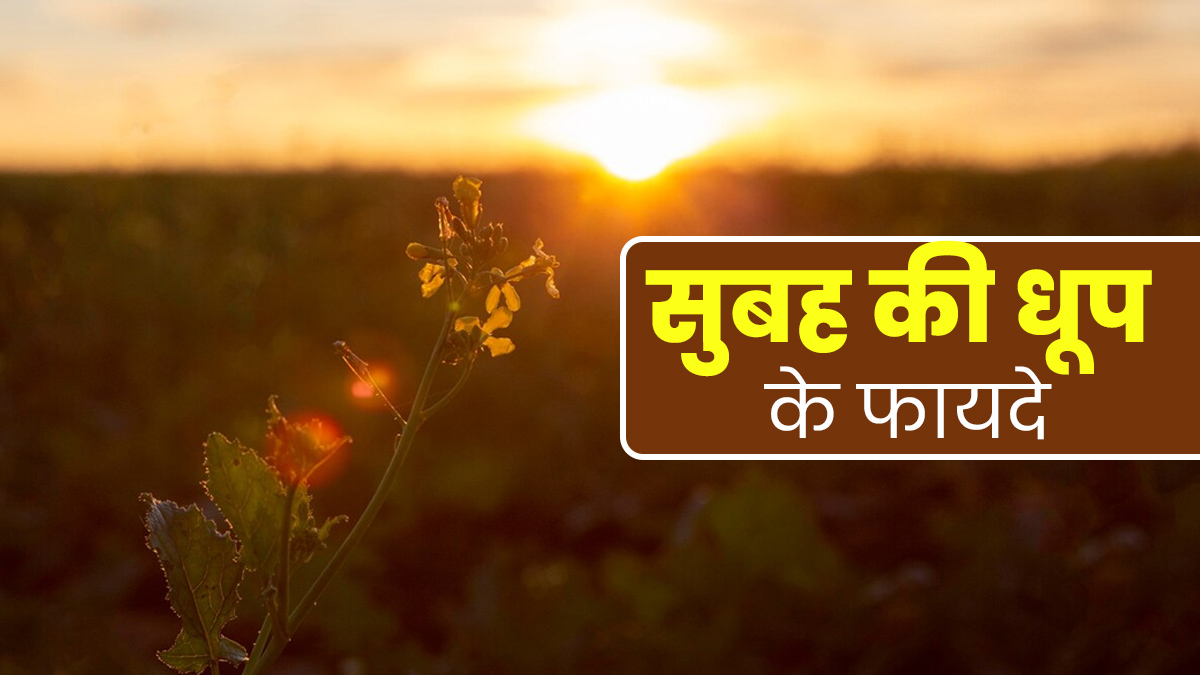 शरीर और मन दोनों के लिए लाभकारी है सुबह की धूप, आयुर्वेदाचार्य से जानें फायदे