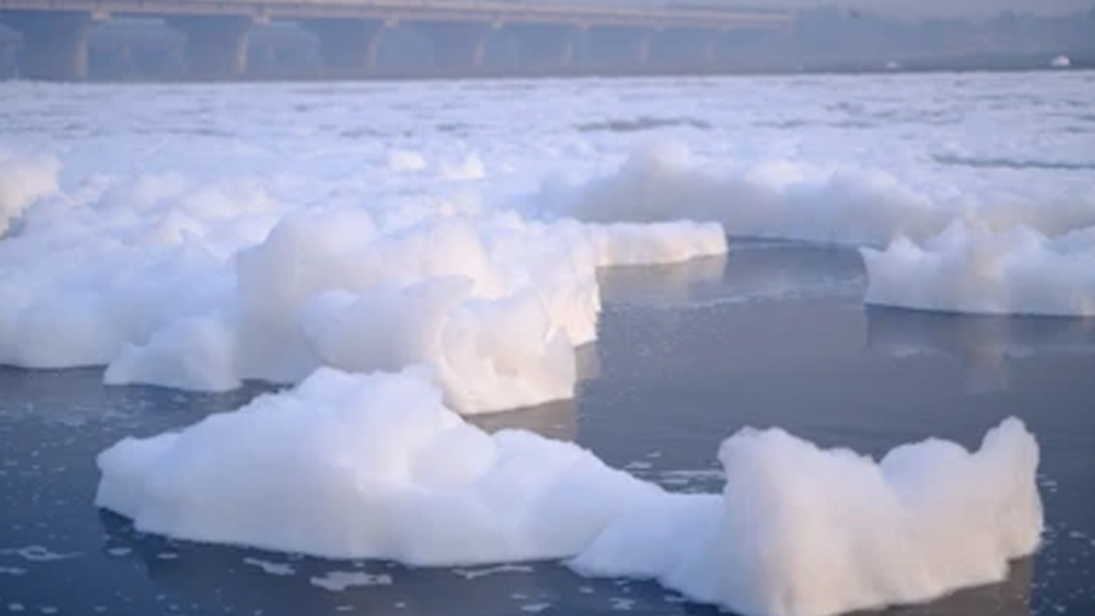 Yamuna froth