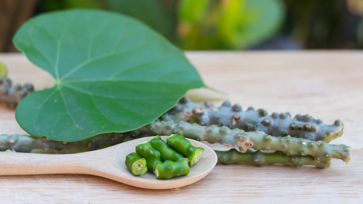 Benefits-of-Guduchi-according-to-Ayurveda-inside