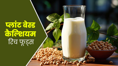 प्लांट बेस्ड कैल्शियम के लिए खाएं ये 9 सुपरफूड्स, हड्डियां बनेंगी मजबूत