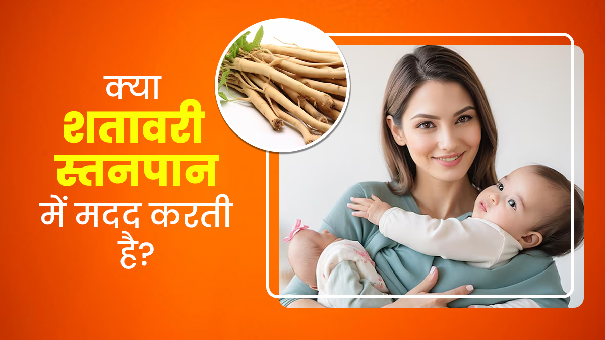 स्तनपान कराने वाली महिलाओं के लिए फायदेमंद है शतावरी का सेवन, ब्रेस्ट मिल्क बढ़ाने में है असरदार