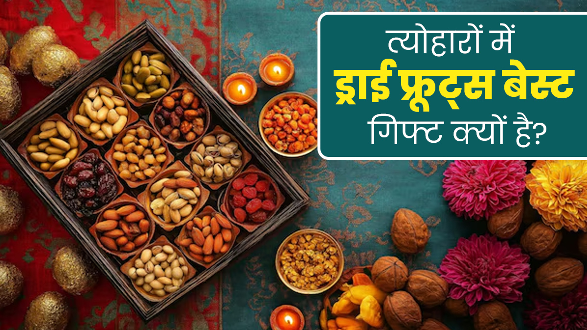 त्योहारों में गिफ्ट देने के लिए ड्राई फ्रूट्स क्यों सबसे अच्छा विकल्प है? एक्सपर्ट से जानें