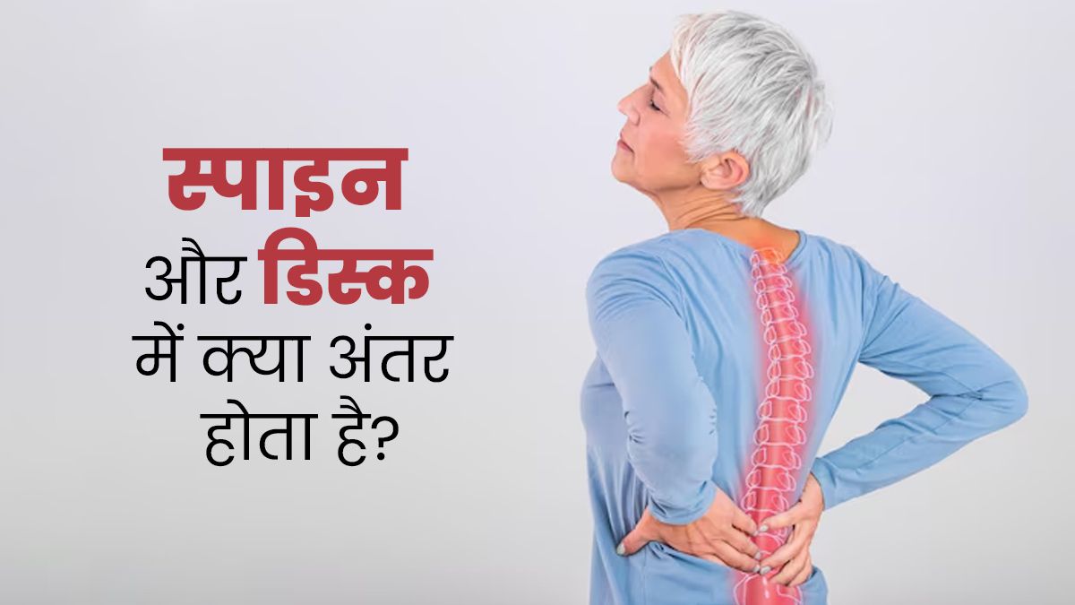 स्पाइन और डिस्क में क्या अंतर होता है? एक्सपर्ट से जानें सही जानकारी
