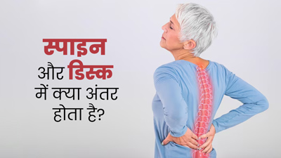 स्पाइन और डिस्क में क्या अंतर होता है? एक्सपर्ट से जानें सही जानकारी