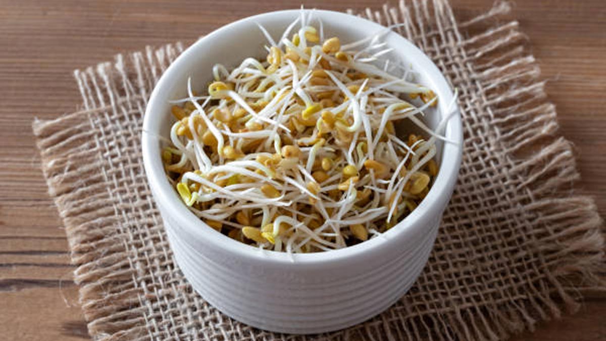 sprouted fenugreek