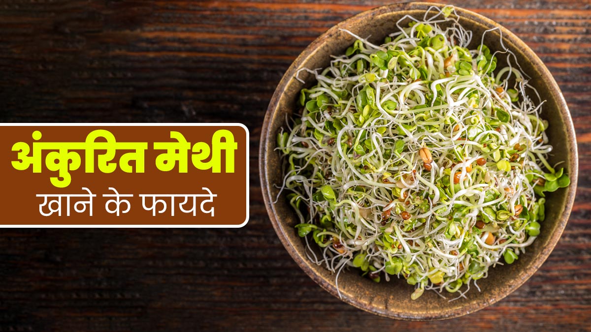 रोज सुबह खाली पेट करें अंकुरित मेथी का सेवन, सेहत को मिलेंगे ये 5 जबरदस्त फायदे