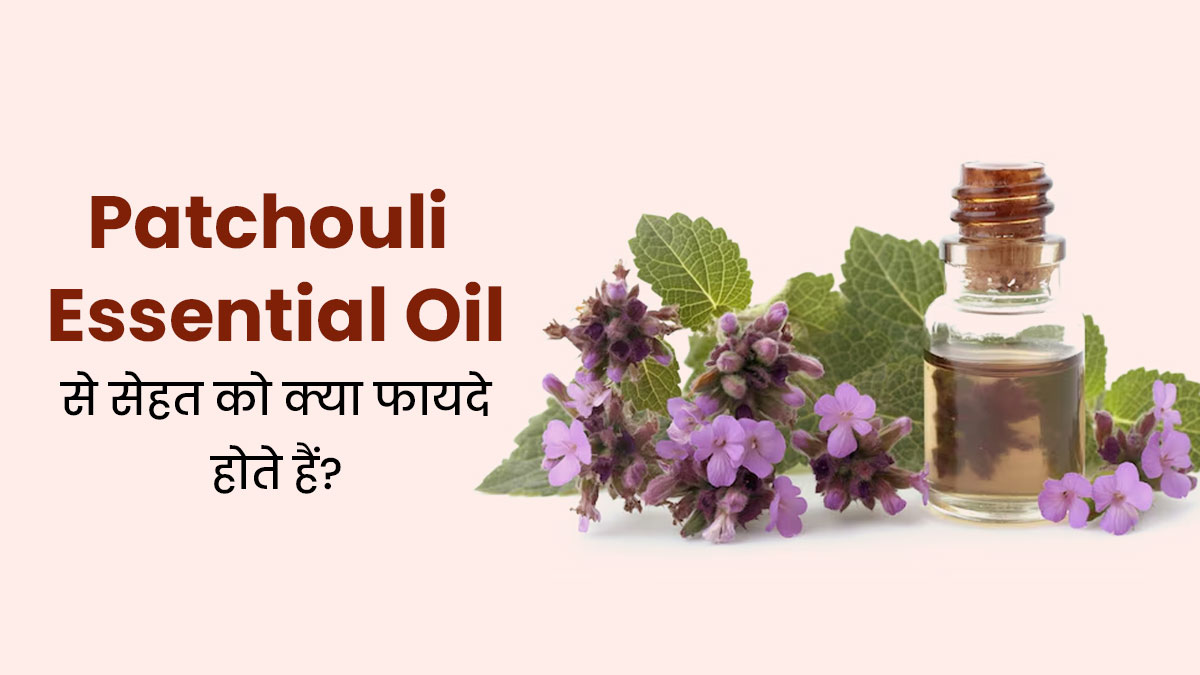 Patchouli Essential Oil: इस तेल से सेहत को मिलेंगे ये 5 जबरदस्त फायदे, जानें उपयोग का तरीका