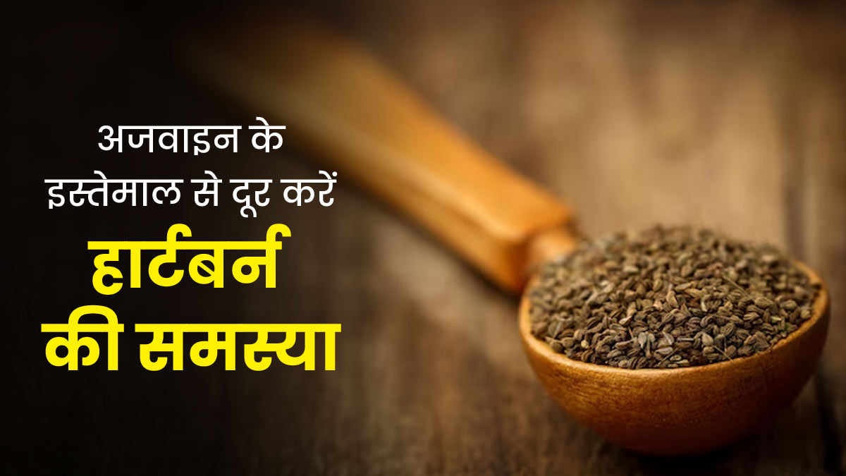 सीने में जलन होने पर इन 4 तरीकों से करें अजवाइन का इस्तेमाल, एसिडिटी से मिलेगी राहत