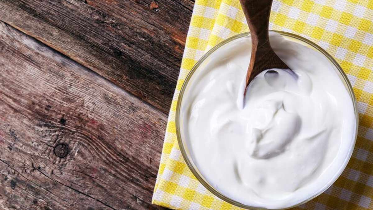 Greek Yoghurt For Weight Loss: Understanding Benefits