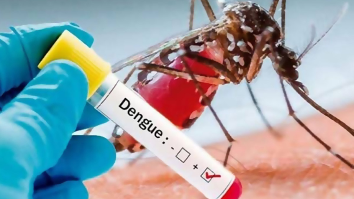 Dengue