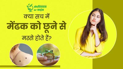 क्या वाकई मेंढक या टोड को छूने से मस्से हो जाते हैं? जानें इस अंधविश्वास के पीछे छिपे वैज्ञानिक तथ्य