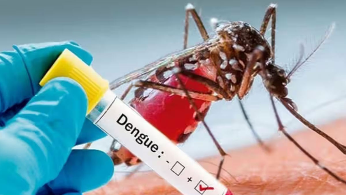 Dengue Cases in Karnataka: कर्नाटक में महामारी घोषित हुआ डेंगू, सरकार ने गाइडलाइंस जारी कर उठाए कई सख्त कदम 