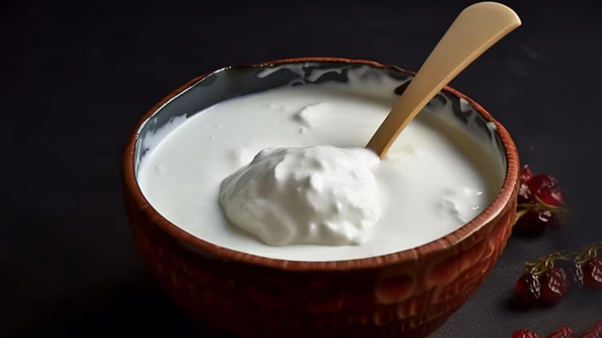 curd-with-salt