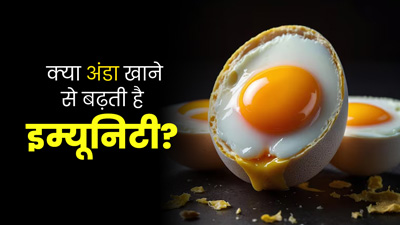 क्‍या अंडा खाने से शरीर की इम्‍यून‍िटी बढ़ सकती है? एक्‍सपर्ट से जानें 