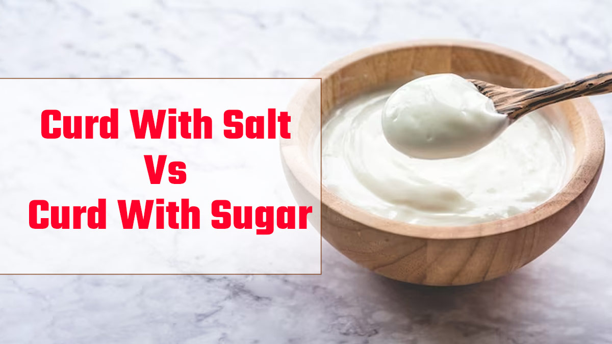 Curd With Salt Or Sugar: Expert Explains Which Is Better For Your Health