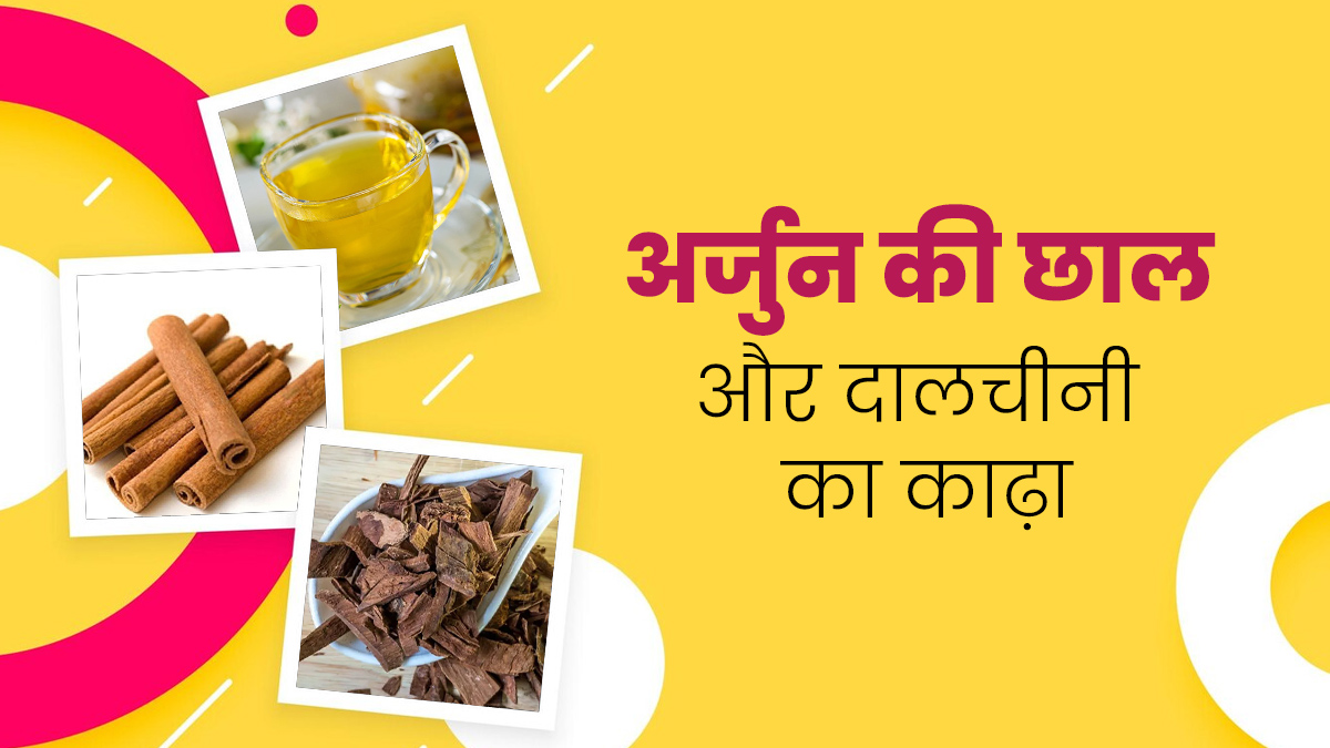 अर्जुन की छाल और दालचीनी का काढ़ा पीने से सेहत को मिलेंगे ये 5 फायदे, जानें इसे बनाने का तरीका