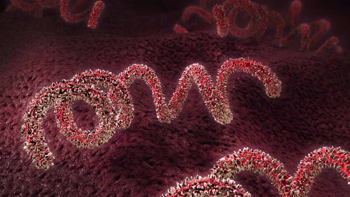 Syphilis Cases At Highest Since 1950s In US; Symptoms To Look Out For