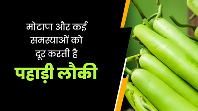बीपी और मोटापे समेत कई बीमारियां दूर करती है 'पहाड़ी लौकी', जानें इसे डाइट में शामिल करने के फायदे