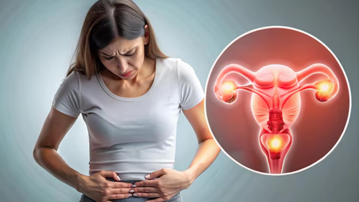 uterus