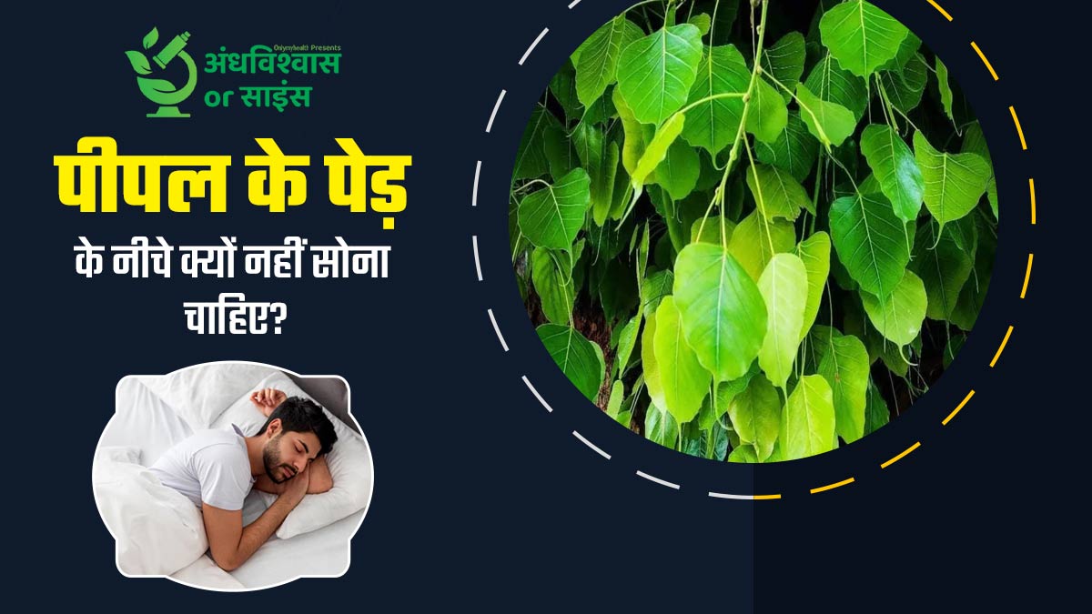 क्या वाकई रात में पीपल के पेड़ के नीचे नहीं सोना अशुभ होता है? जानें इसके पीछे का वैज्ञानिक तथ्य