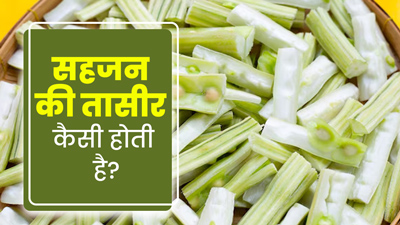 सहजन की तासीर कैसी होती है? जानें किसे इसका सेवन करना चाहिए और किसे नहीं?