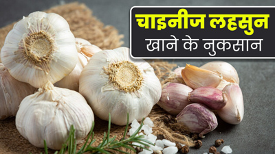 कहीं आप तो नहीं खा रहे चाइनीज लहसुन, जानें इसके नुकसान और पहचान करने का तरीका