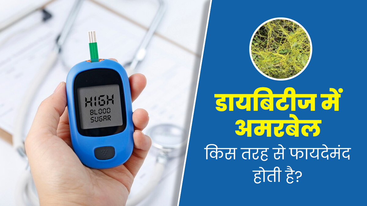 डायबिटीज को कंट्रोल करती है अमरबेल, जानें इसके फायदे और इस्तेमाल का तरीका