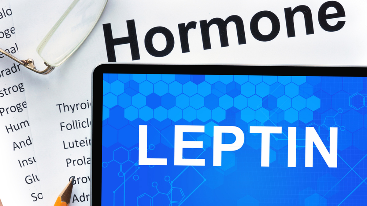 leptin-hormone