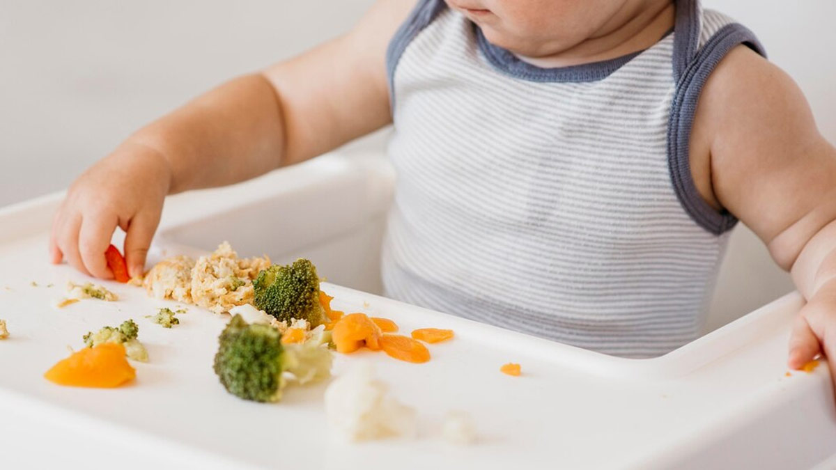 How To Ensure Your Baby's Food Meets All Essential Nutritional Needs
