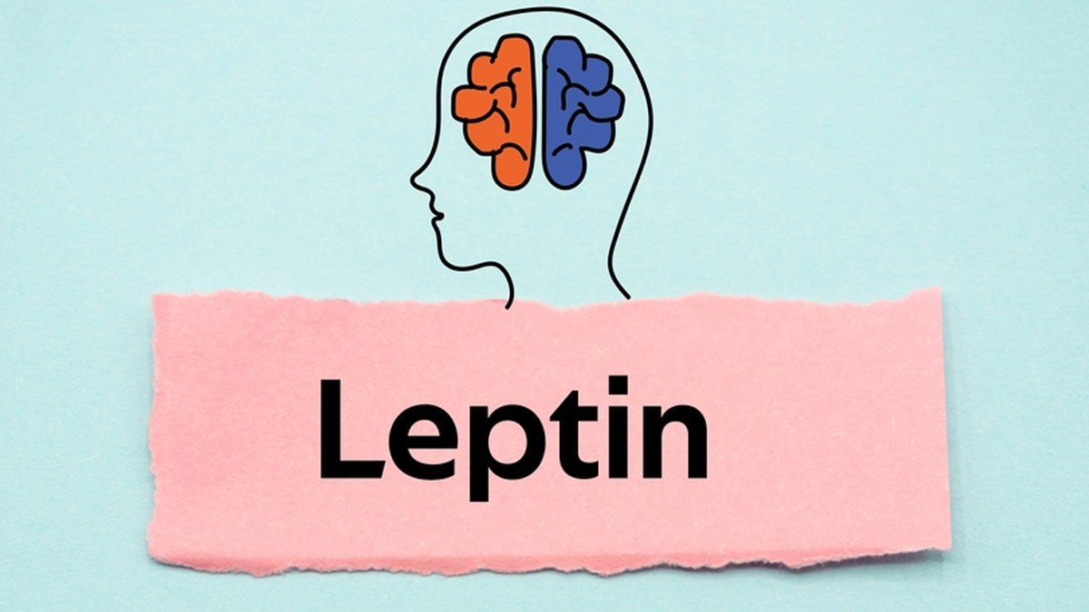 Leptin Resistance: Expert Explains How It Affects Hunger, Weight, And Your Health