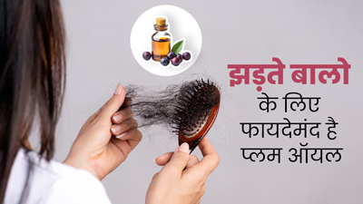 झड़ते बालों से छुटकारा दिलाएगा आलूबुखारे का तेल, ऑयलिंग के लिए करें इस्तेमाल