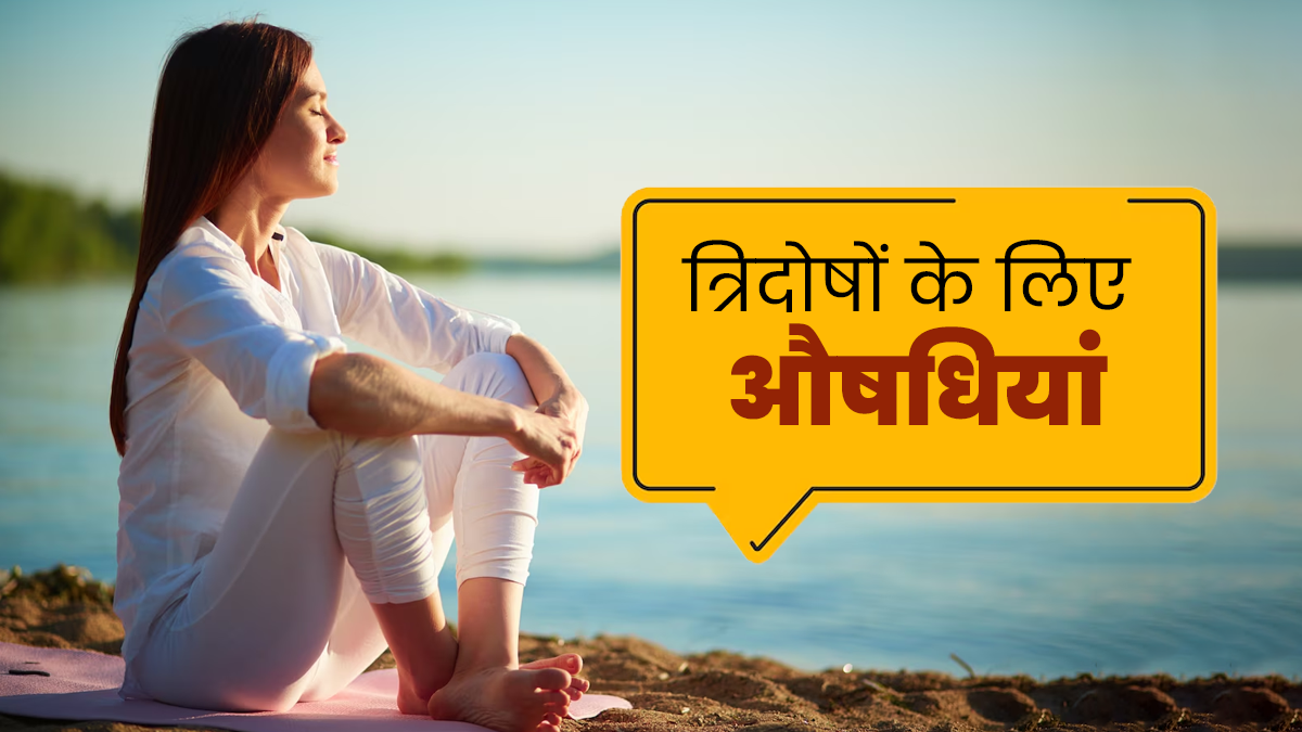 त्रिदोषों के लिए सबसे अच्छी औषधि क्या है? एक्सपर्ट से जानें
