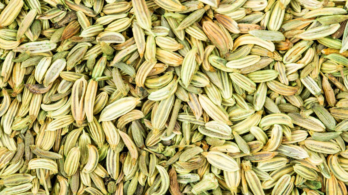 fennel seeds