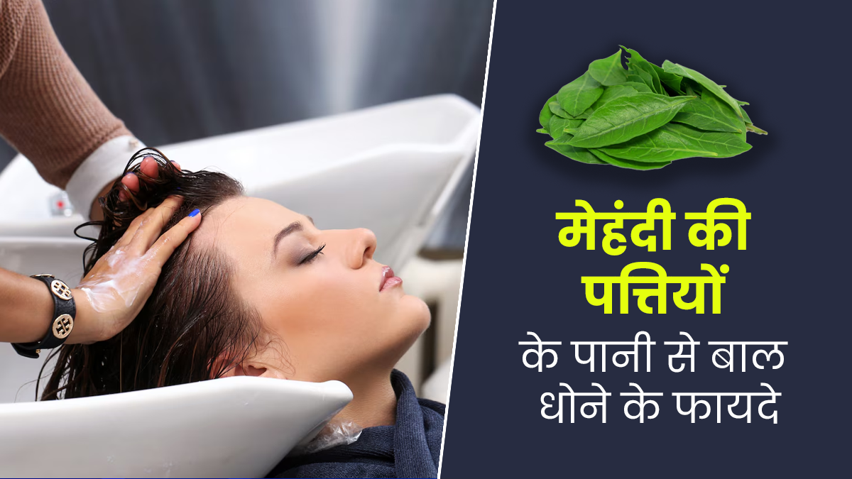 मेहंदी के पत्तों के पानी से धोएं बाल, दूर होंगी बालों से जुड़ी कई समस्याएं