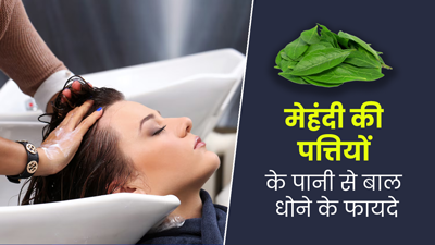 मेहंदी के पत्तों के पानी से धोएं बाल, दूर होंगी बालों से जुड़ी कई समस्याएं