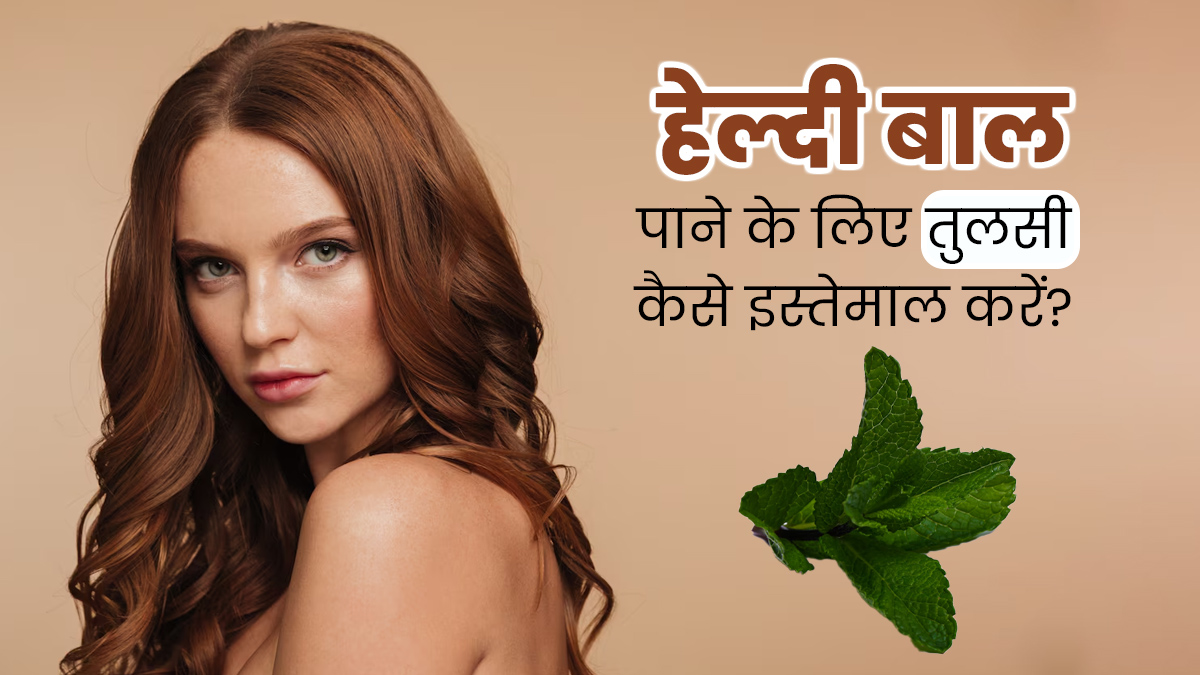 हेल्दी बाल पाने के लिए इन 5 तरीकों से इस्तेमाल करें तुलसी, जानें इनके बारे में 