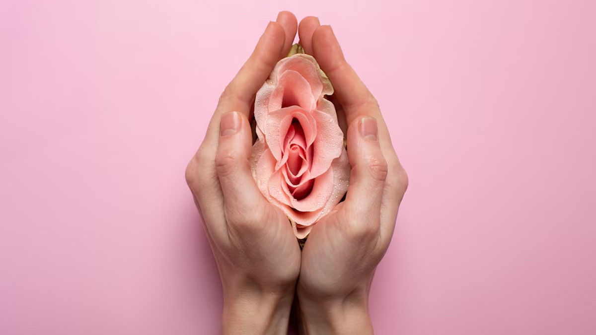 What Causes Pimples On Labia? How To Get Rid Of It?