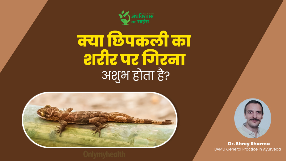 क्या छिपकली का शरीर पर गिरना अशुभ होता है? जानें इस पर क्या कहता है साइंस