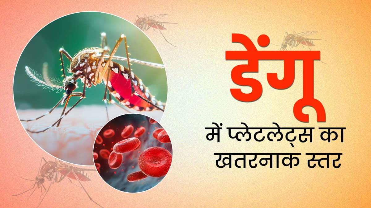 डेंगू में प्लेटलेट्स का कौन-सा स्तर खतरनाक होता है? एक्सपर्ट से जानें