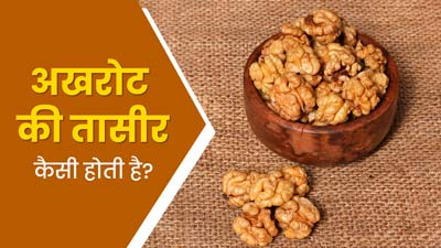 अखरोट की तासीर कैसी होती है? जानें किसे इसका सेवन करना चाहिए और किसे नहीं