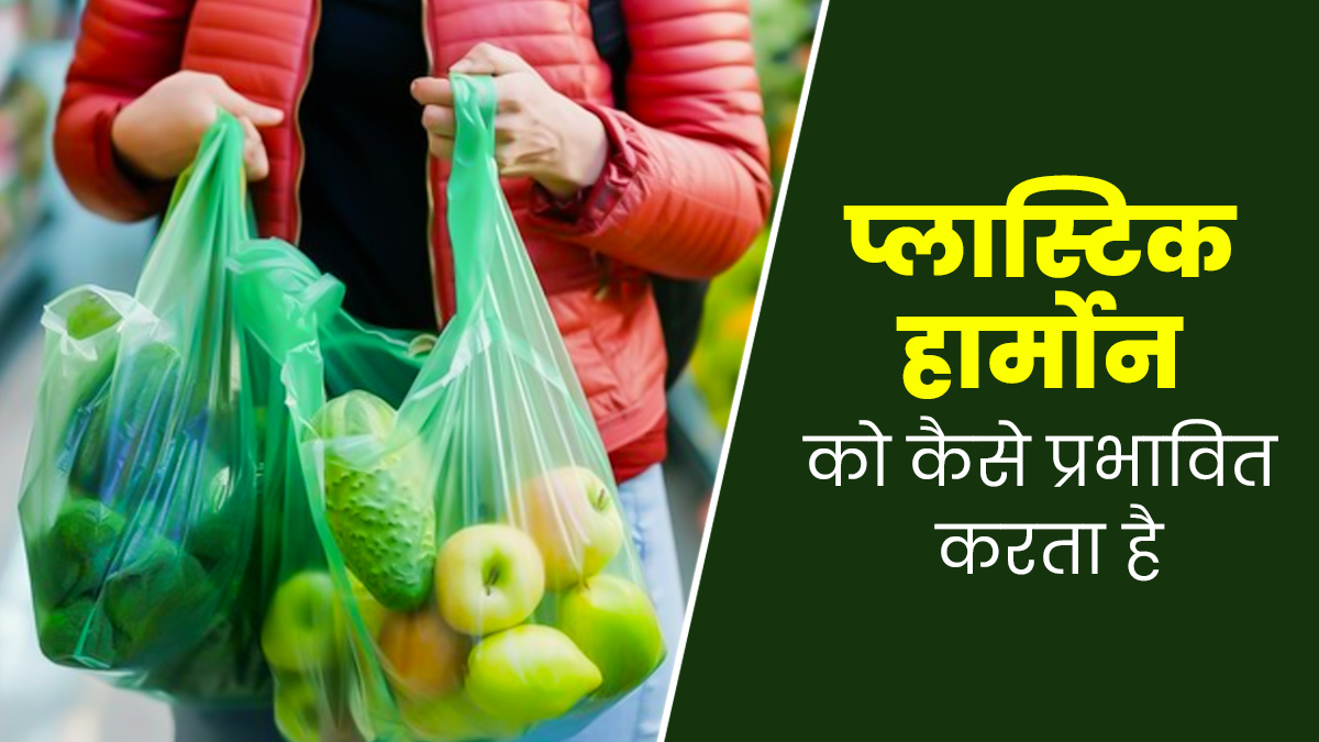 प्लास्टिक आपके हार्मोन्स को कैसे प्रभावित करता है? डॉक्टर से जानें 