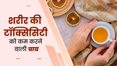 शरीर में टॉक्सिसिटी (आम) को कम करती है ये स्पेशल चाय, एक्सपर्ट से जानें रेसिपी  