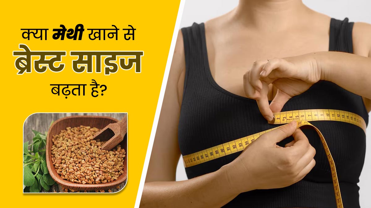 क्या मेथी के बीज खाने से ब्रेस्ट साइज बढ़ता है? जानें क्या कहते हैं एक्सपर्ट्स और स्टडी