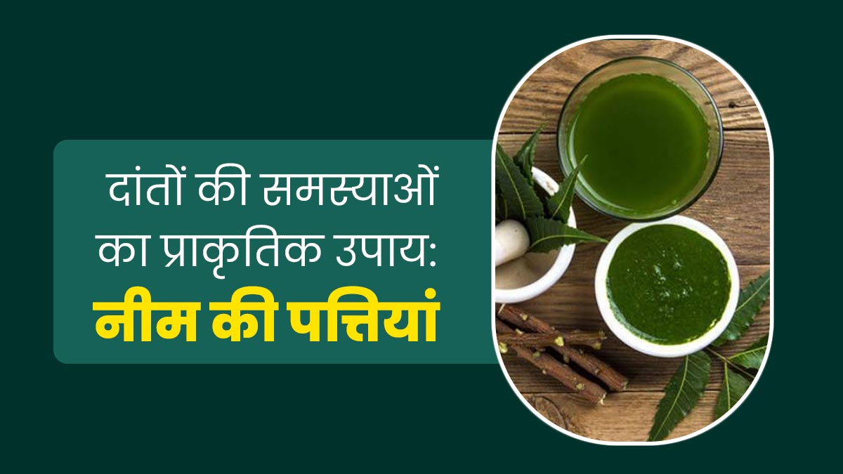 नीम की पत्तियां दूर करती हैं दांतों से जुड़ी ये 5 समस्याएं, इस तरह से करें इस्तेमाल
